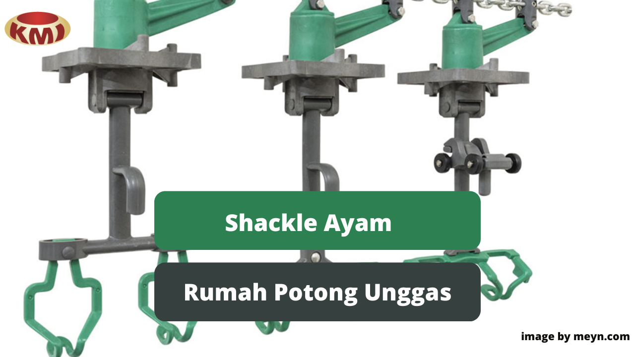 Alat Shackle Ayam Dalam Industri Rumah Potong Unggas